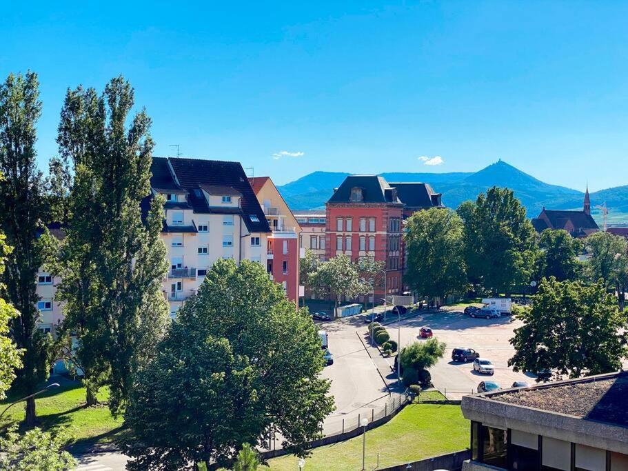 Le Belvedere Alsacien Sélestat Exteriér fotografie