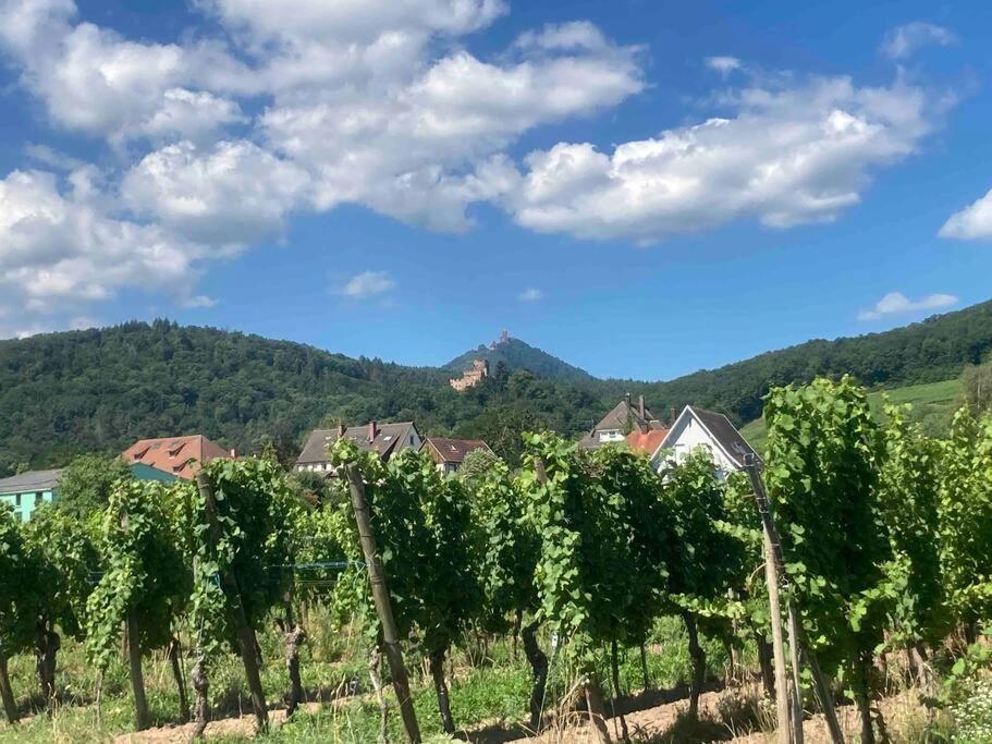 Le Belvedere Alsacien Sélestat Exteriér fotografie